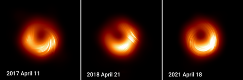 multi year image